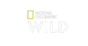 iptv south africa
